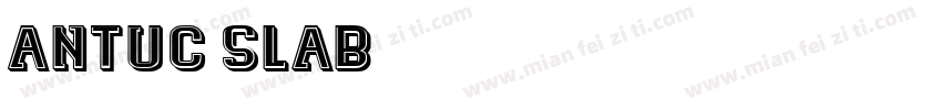 Antuc Slab字体转换